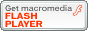 Flash�o�i�[